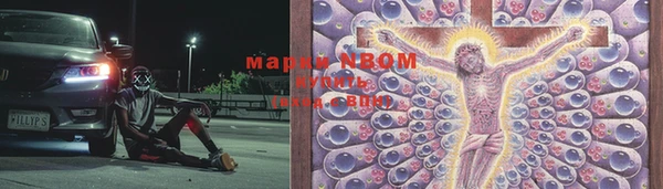 гидропоника Баксан