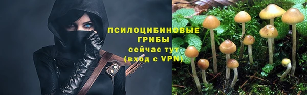 эйфоретик Балахна