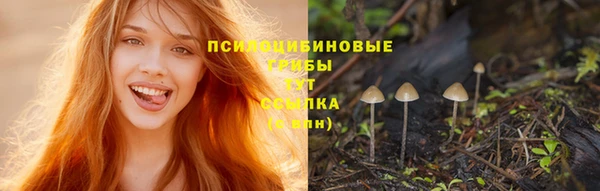 эйфоретик Балахна