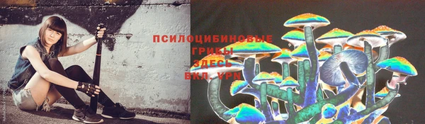 стаф Балабаново