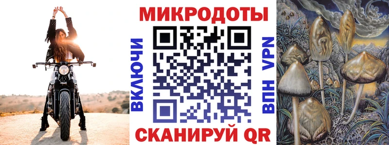 Псилоцибиновые грибы Cubensis  Давлеканово 